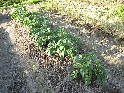 IMG_1563.jpg