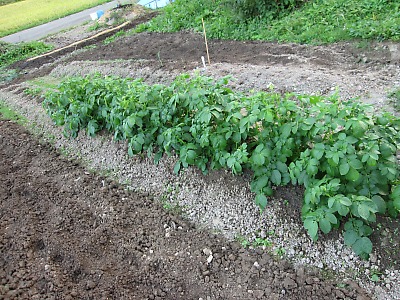 IMG_1682.jpg