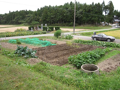 IMG_1835.jpg