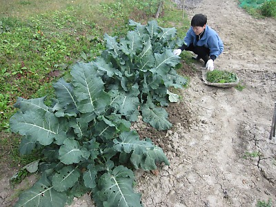 IMG_1859.jpg
