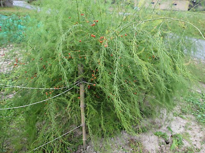 IMG_1869.jpg