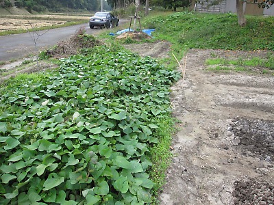 IMG_1871.jpg