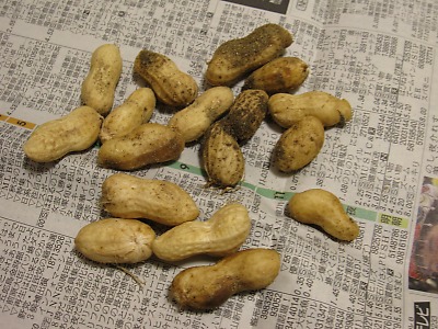IMG_1875.jpg
