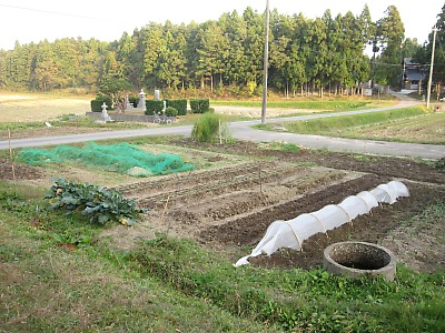 IMG_2042.jpg