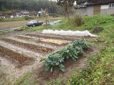 IMG_2179.jpg