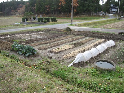 IMG_2218.jpg