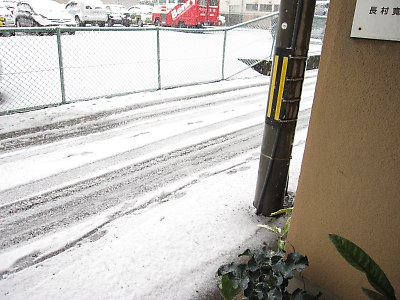 IMG_2450.jpg