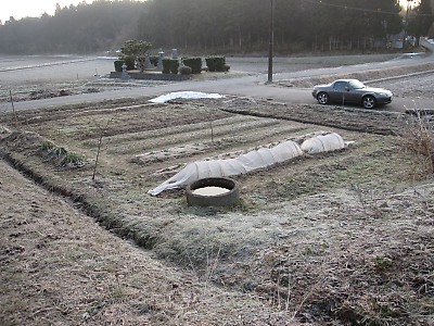 IMG_2536.jpg