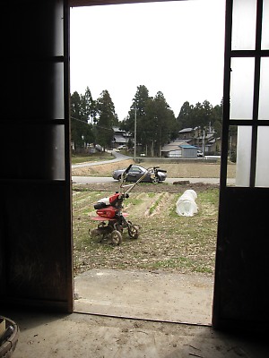 IMG_2698.jpg