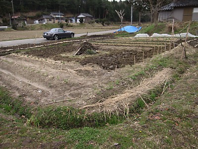 IMG_2704.jpg