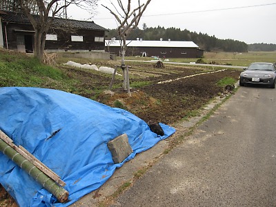 IMG_2706.jpg