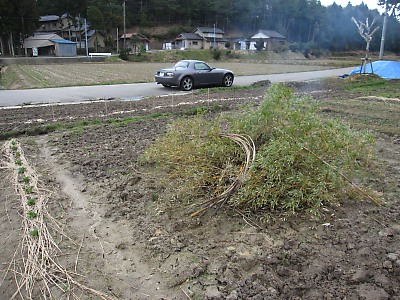 IMG_2791.jpg