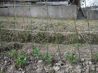 IMG_2792.jpg