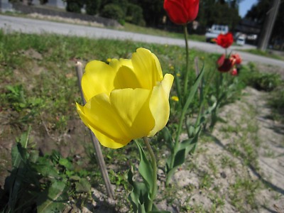 IMG_3161.jpg