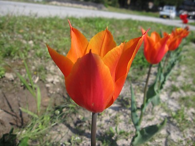 IMG_3162.jpg