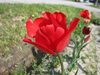 IMG_3164.jpg