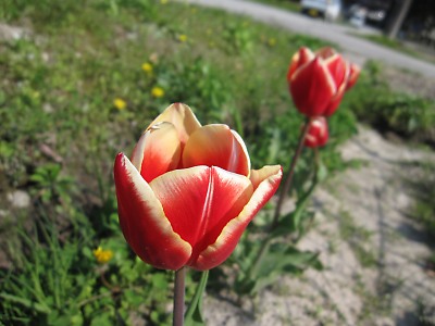 IMG_3165.jpg