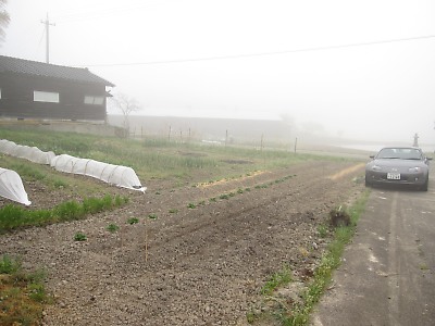 IMG_3188.jpg