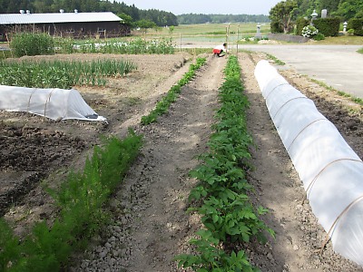 IMG_3311.jpg