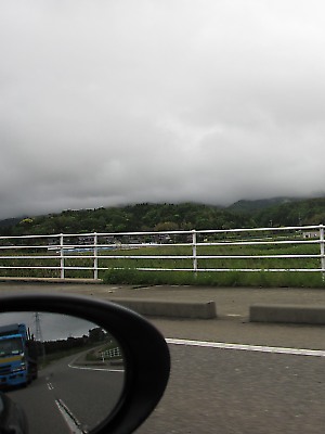 IMG_3337.jpg