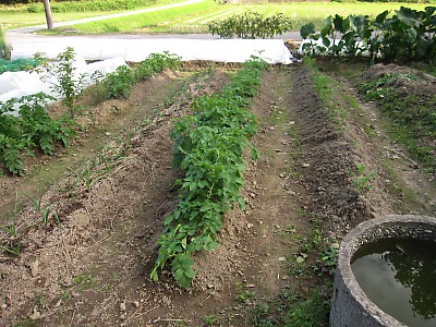 IMG_5132.jpg