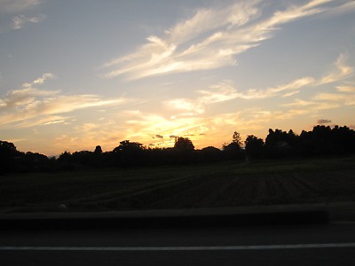 IMG_5135.jpg