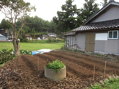IMG_5161.jpg