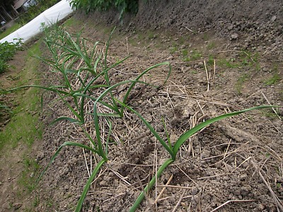 IMG_5166.jpg