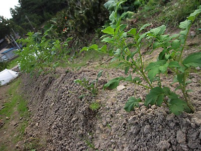 IMG_5168.jpg