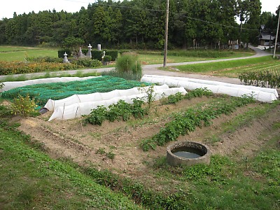IMG_5173.jpg