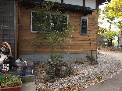 IMG_5247.jpg