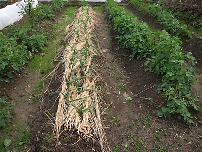 IMG_5269.jpg