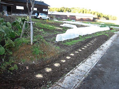 IMG_5482.jpg