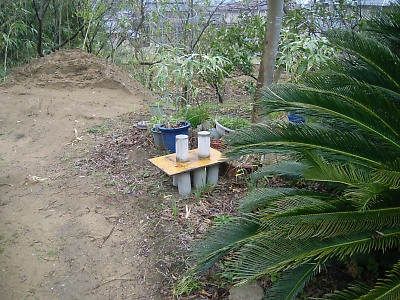 R0013663.jpg