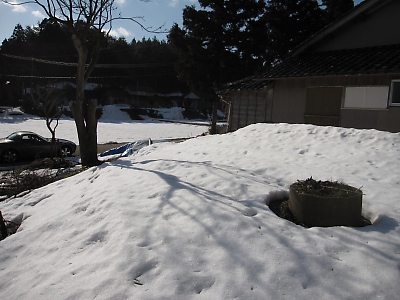 IMG_5995.JPG