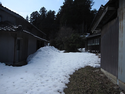 IMG_6021.JPG