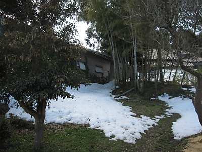 IMG_6024.JPG