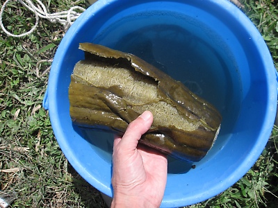 IMG_8620.JPG