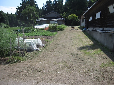 IMG_2505.JPG