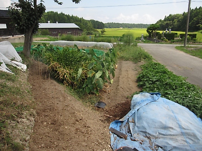 IMG_2689.JPG