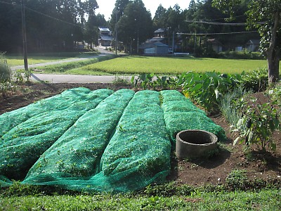 IMG_2790.JPG