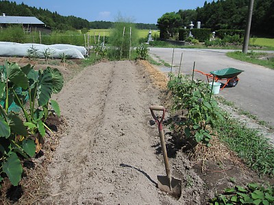 IMG_2800.JPG