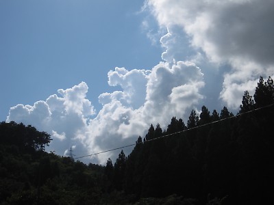 IMG_2805.JPG