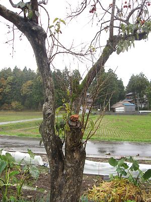 IMG_3992.JPG