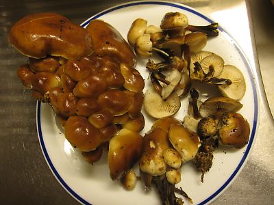 IMG_3999.JPG