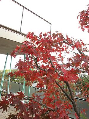 IMG_4173.JPG