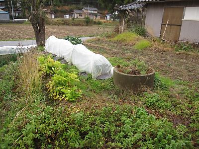 IMG_4227.JPG