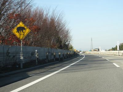 IMG_4298.JPG