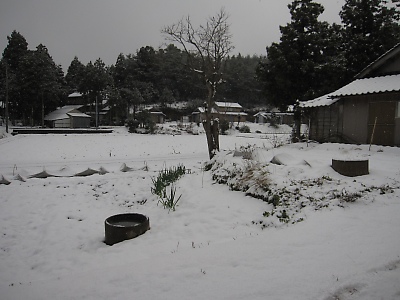 IMG_4464.JPG