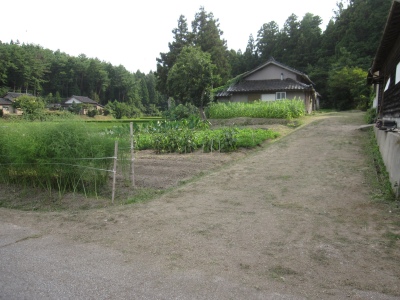 IMG_0064.JPG